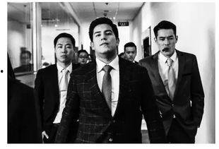 局内人在线观看,揭秘职场生存法则的在线观看攻略