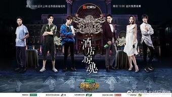 明星大侦探第三季在线观看,悬疑狂欢，明星侦探团再启征程