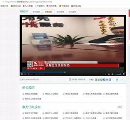 黑龙江新闻频道直播在线观看,实时掌握省内最新动态