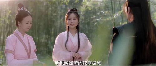 摧花神龙教在线观看,在线观看，揭秘神秘门派传奇